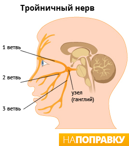 http://spb.napopravku.ru/upload/medialibrary/c9a/c9abb019e1df41acb99dd6fffb66d145.jpg